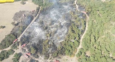 Manisa'daki orman yangını kontrol altına alındı