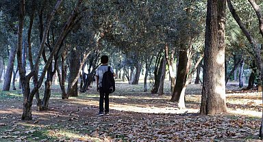 Manisa'ya sonbahar güzelliği geldi