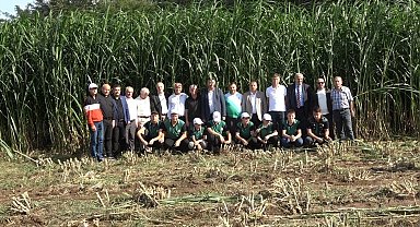 Maralfalfanın ilk hasadı yapıldı