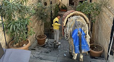 Mardin'de kadrolu eşeklerin zorlu mesaisi