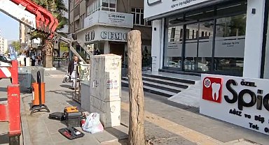Mardin'de kaldırımdaki ağaçlar izinsiz kesildi