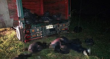 Meksika'da askerler kaçak göçmenlere ateş açtı: 6 ölü