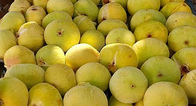 Mersin'de incirin sezonu 80 lirayla kapatması üreticinin yüzünü güldürdü