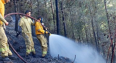 Mersin'de orman yangını havadan ve karadan müdahaleyle söndürüldü