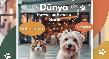 Mersin'de sokak hayvanları sahiplendiriliyor