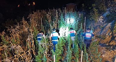 Mersin'de uyuşturucu yetiştirenlere operasyon: 3 gözaltı