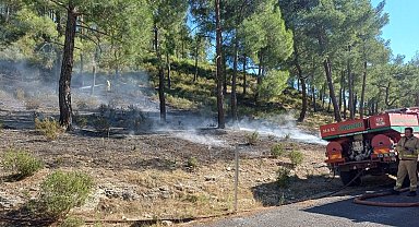 Mersin'de vadide çıkan orman yangını, büyümeden söndürüldü