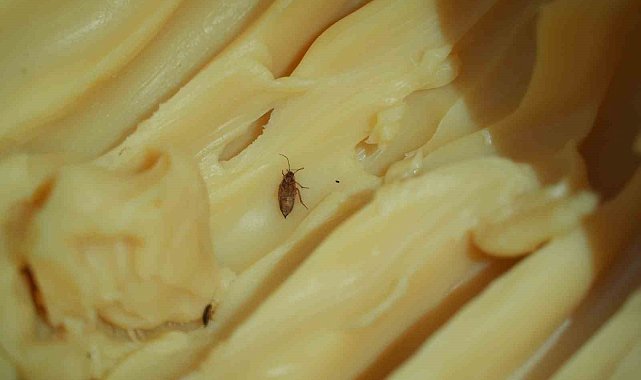 Mide bulandıran görüntülerin oluştuğu işletmeye para cezası uygulandı