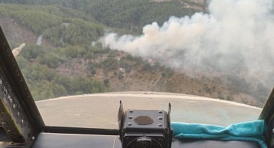 Milas'ta orman yangını büyümeden söndürüldü