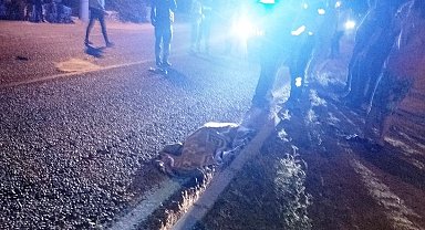 Milas'ta trafik kazası: 1 ölü