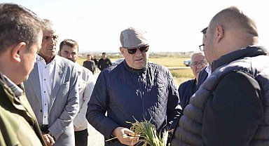 Milletvekili Gider, Biga'da zarar gören tarım arazilerini inceledi