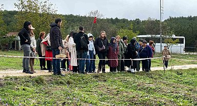 Mor yapraklı, kırmızı lifli safranı görmek için tarlalara akın ediyorlar