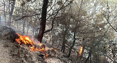 Muğla Gökova Körfezi'nde orman yangını