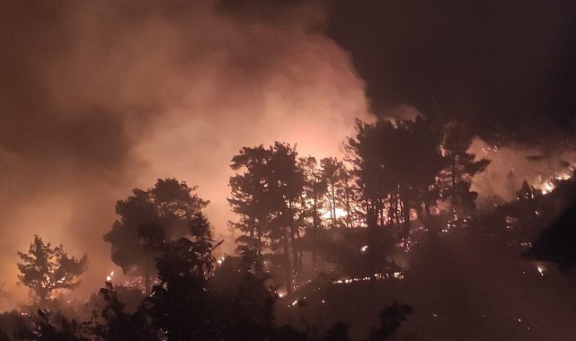 Muğla'da ikinci orman yangını