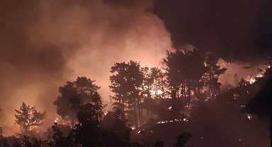 Muğla'da ikinci orman yangını