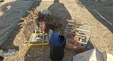 Muğla'da kaçak avcılık yapan kişiye para cezası kesildi