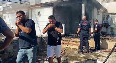 Muhabbet kuşlarını suni teneffüsle kurtarmaya çalıştılar
