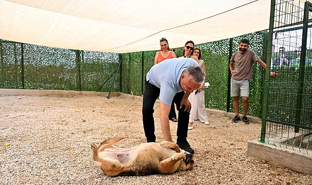 Muratpaşa'dan patili dostlara farkındalık şenliği