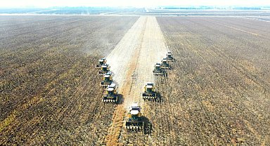 Muş Ovası'ndaki ayçiçeği hasadından 400 milyon TL gelir bekleniyor