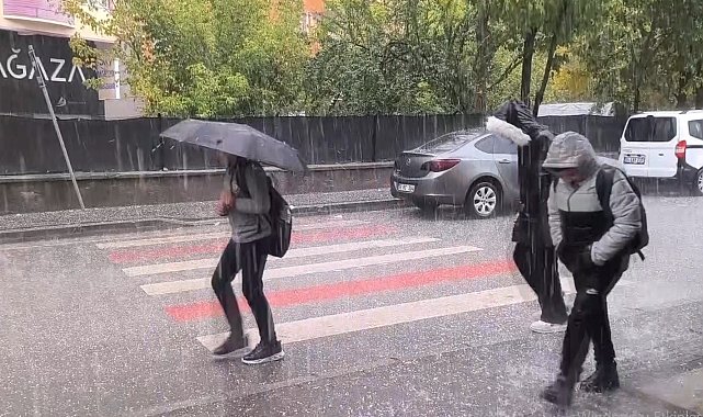 Muş'ta dolu yağışı etkili oldu