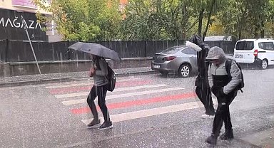 Muş'ta dolu yağışı etkili oldu