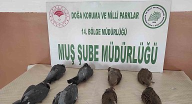 Muş'ta keklik avlayan 2 kişiye 42 bin 946 TL para cezası