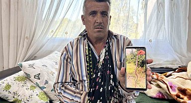 Narenciye topladığı esnada engerek ısıran çiftçi, hayata tutunmayı başardı