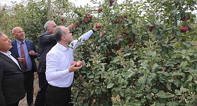 Niğde Ömer Halisdemir Üniversitesinde 200 ton elma hasadı yapıldı
