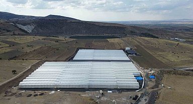 Niğde'nin jeotermal potansiyeli ile topraksız tarım üretimi