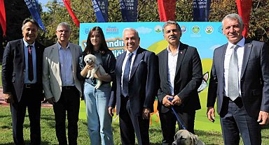 Nilüfer'de can dostlar yeni yuvalarına kavuşuyor