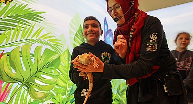 Öğrenciler Avustralya çöllerinde yaşayan sakallı ejderle Konya Tropikal Kelebek Bahçesi'nde tanışıyor