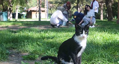 Öğrencilerden Hayvanları Koruma Günü duyarlılığı