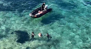 Ölü olarak bulunan caretta, dalgıçlar tarafından karaya çıkarıldı