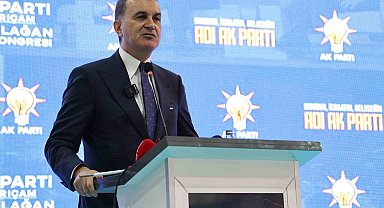 Ömer Çelik'ten 'Yenidoğan çetesi' açıklaması