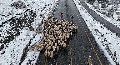 Ordu yaylalarında görsel kar şöleni