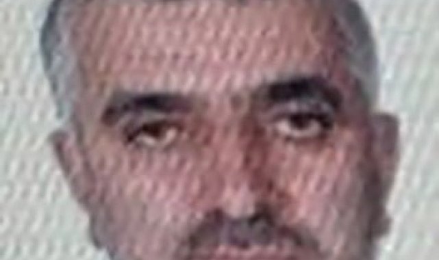 Ordu'da kestiği ağacın altında kalan vatandaş hayatını kaybetti