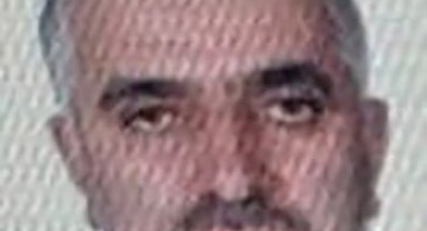 Ordu'da kestiği ağacın altında kalan vatandaş hayatını kaybetti