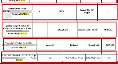 Orta Karadeniz'in gıda yüzsüzleri