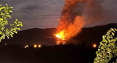 Ortaca'da orman yangını