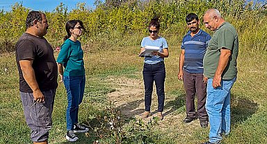 Ortaca'da pamuk ve pikan cevizi üretiminde kontroller başarıyla tamamlandı