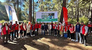Osmaniye'de ormanlık alanlar temizlendi