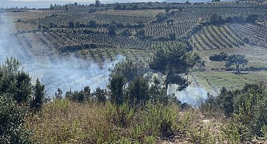 Osmaniye'de otluk alanda başlayan yangın zeytin ağaçlarına sıçradı