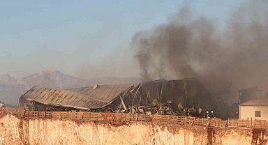 Otluk alan yangını işçilerin kaldığı yatakhaneyi kül etti: İşçiler canını zor kurtardı