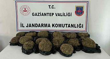 Otobüsün bağajından 18.5 kilo skunk ele geçirildi