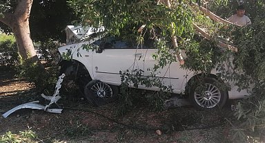 Otomobil ağaca vurdu, sürücü yaralı kurtuldu