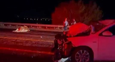 Otomobil ineğe çarptı: 2 yaralı