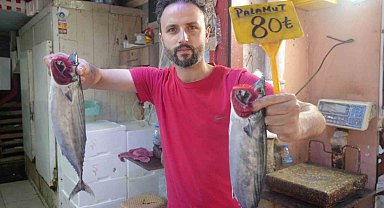 Palamudun tanesi 150 TL'den 80 TL'ye düştü