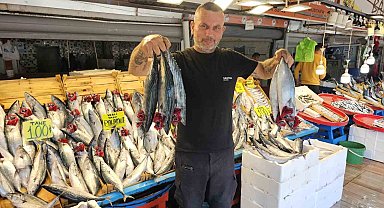 Palamut irileşti, fiyatı yüz güldürdü