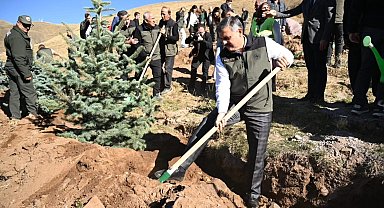 Palandöken'de 60 bin fidan toprakla buluştu