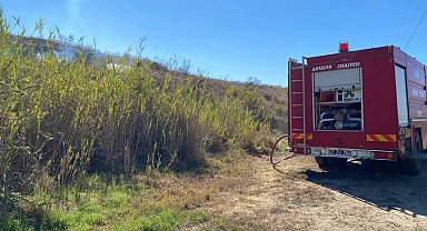 Parkta çıkan yangın makilik alana sıçradı